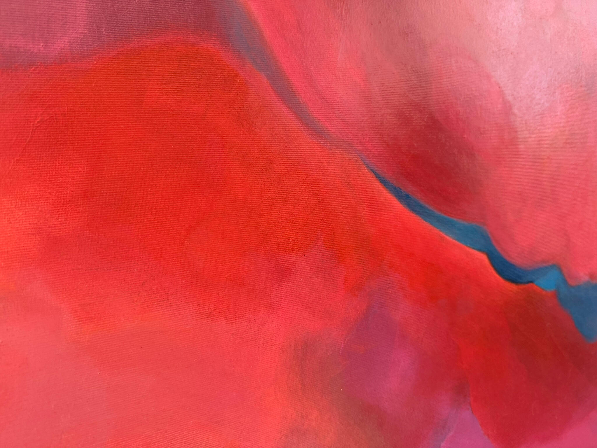 Detail of A Space of My Own: a narrow blue line between warm coral red and pink areas of colour.